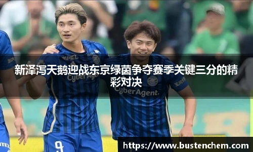 悟空体育直播平台新泽泻天鹅迎战东京绿茵争夺赛季关键三分的精彩对决
